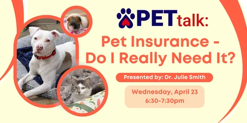 Happy dog protected by pet insurance in Nevada